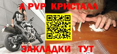 ALPHA PVP Гай