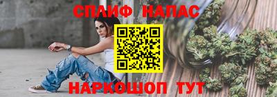 мдпв Гатчина