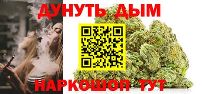ALPHA PVP Гай