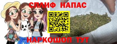 мдпв Гатчина